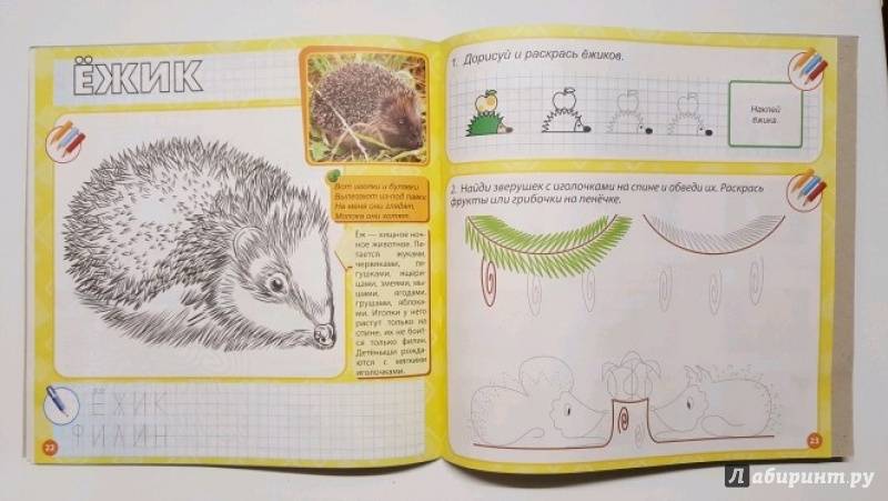 Иллюстрация 7 из 10 для Лесные животные и растения | Лабиринт - книги. Источник: Nataly