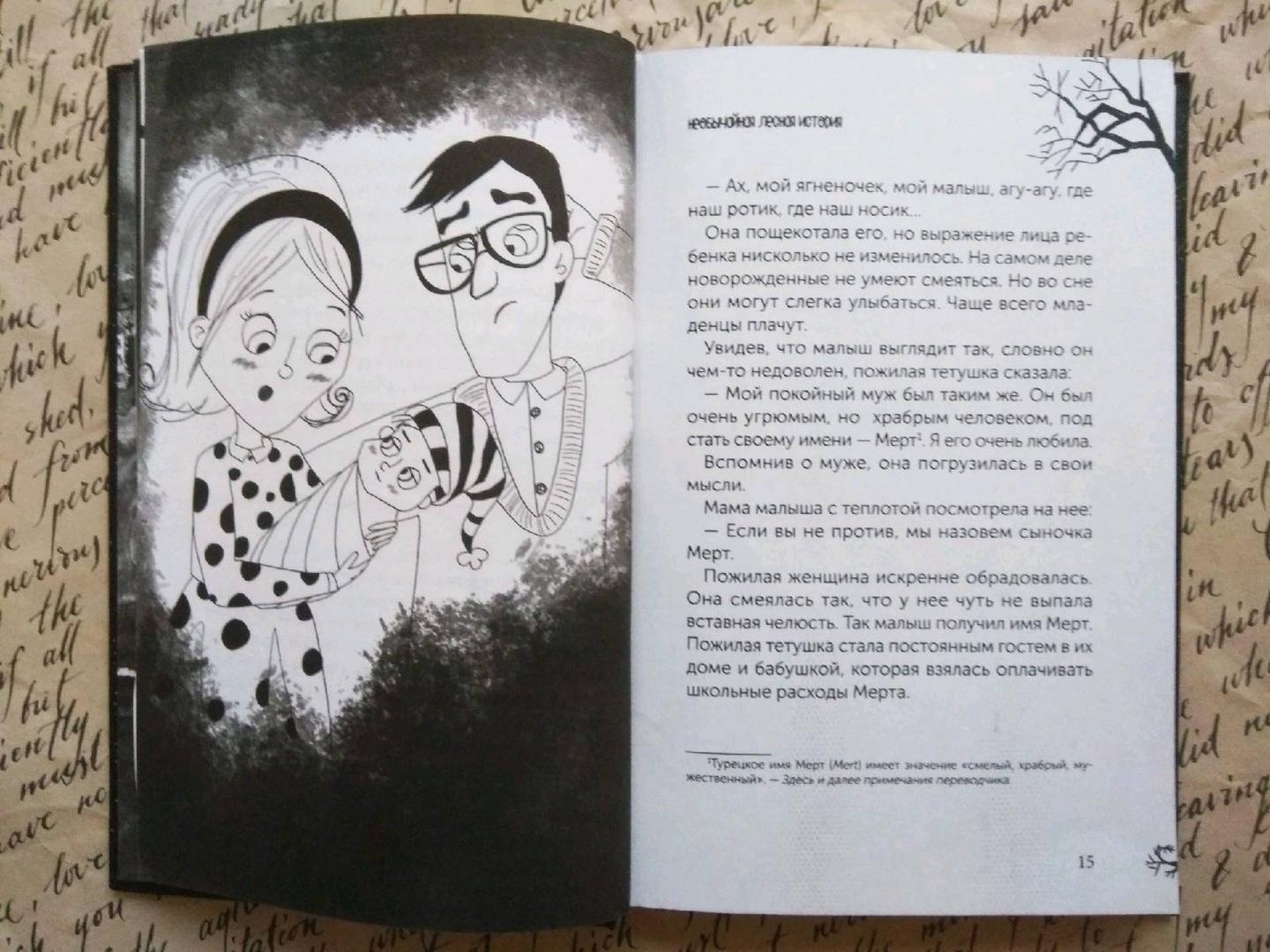 Иллюстрация 22 из 27 для Мальчик с угрюмым лицом, или Необычайная лесная история - Нур Домбайджи | Лабиринт - книги. Источник: Зеленина  Наталья
