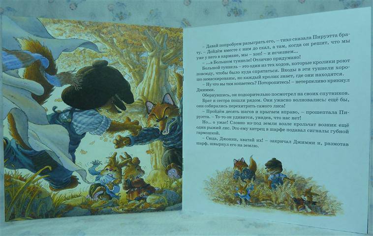 Иллюстрация 15 из 16 для Пируэтта и хитрый лис - Женевьева Юрье | Лабиринт - книги. Источник: Левина  Анна