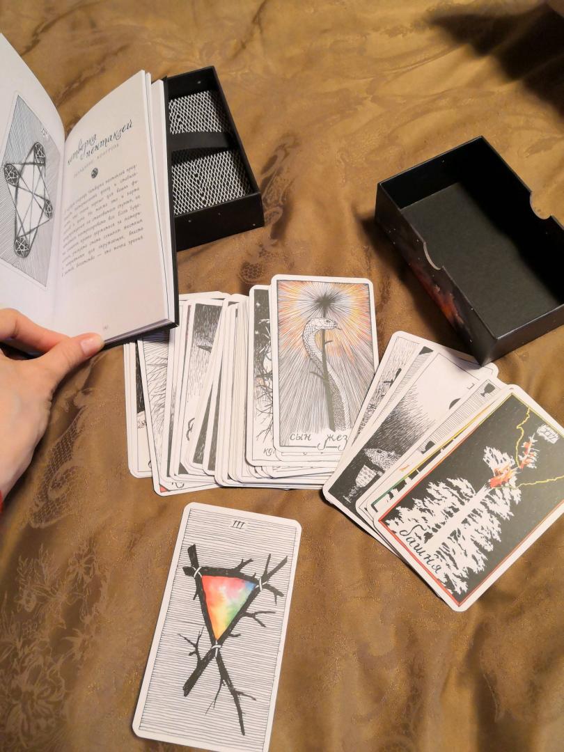 Иллюстрация 135 из 170 для The Wild Unknown Tarot. Дикое Неизвестное Таро, 78 карт и руководство в подарочном футляре - Ким Кранс | Лабиринт - книги. Источник: Королева  Татьяна