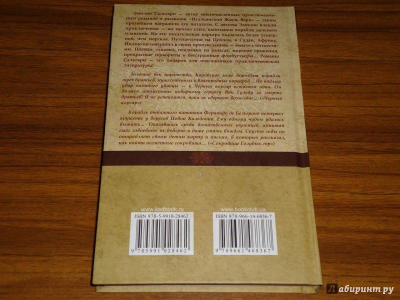 Иллюстрация 12 из 31 для Черный корсар. Сокровище Голубых гор - Эмилио Сальгари | Лабиринт - книги. Источник: Danielle