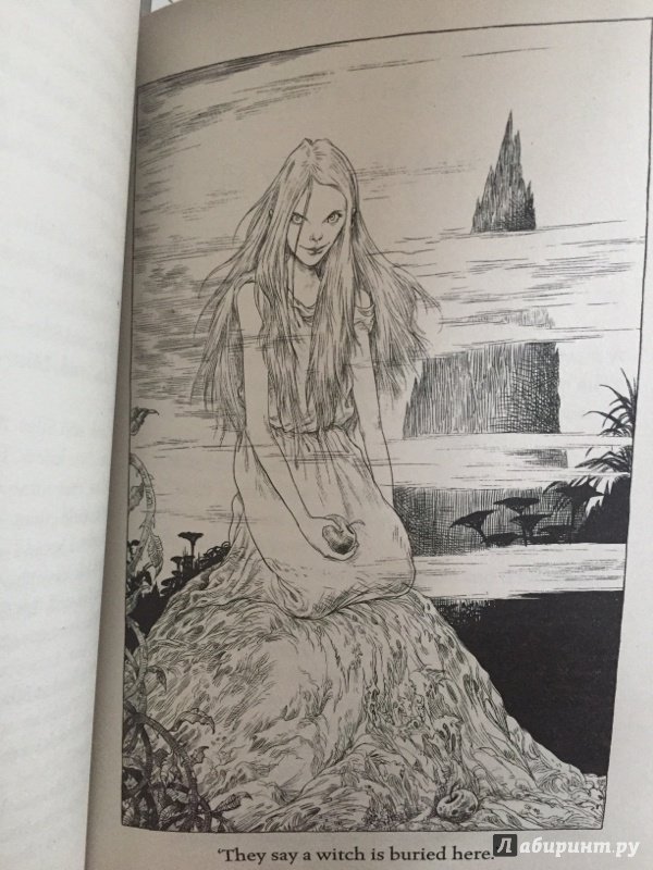 Иллюстрация 43 из 48 для The Graveyard Book - Neil Gaiman | Лабиринт - книги. Источник: Лабиринт