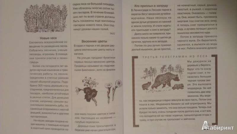 Иллюстрация 15 из 42 для Лесная газета на каждый год. Весна-Лето - Виталий Бианки | Лабиринт - книги. Источник: Katty