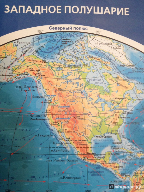 Иллюстрация 3 из 6 для Физическая карта мира. Карта полушарий. Мелованный картон | Лабиринт - книги. Источник: Евгения Анатольевна