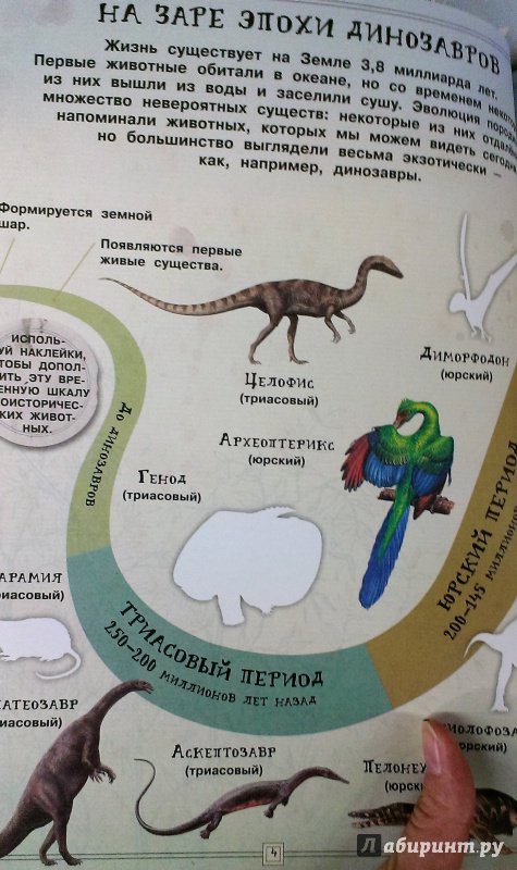 Иллюстрация 7 из 42 для Занимательная зоология. Динозавры - Полли Чизман | Лабиринт - книги. Источник: Савчук Ирина