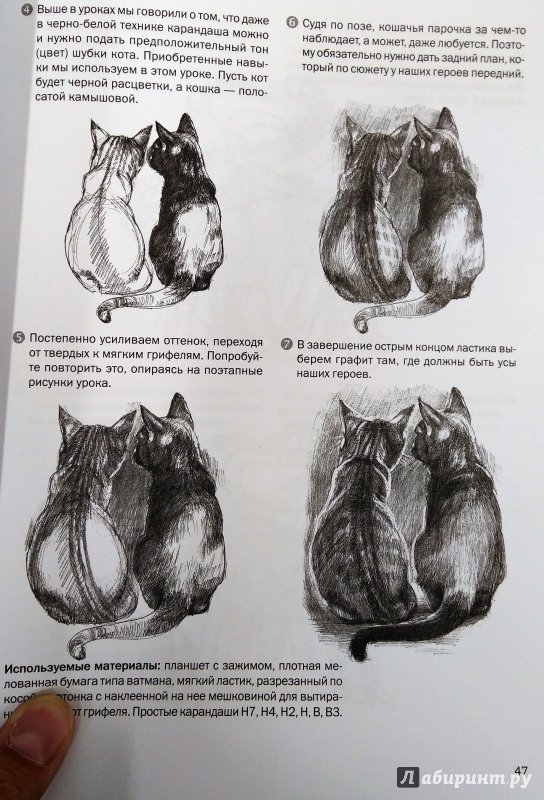 Иллюстрация 14 из 31 для Пошаговые уроки рисования. Рисуем кошек и собак - Виктория Мазовецкая | Лабиринт - книги. Источник: Савчук Ирина