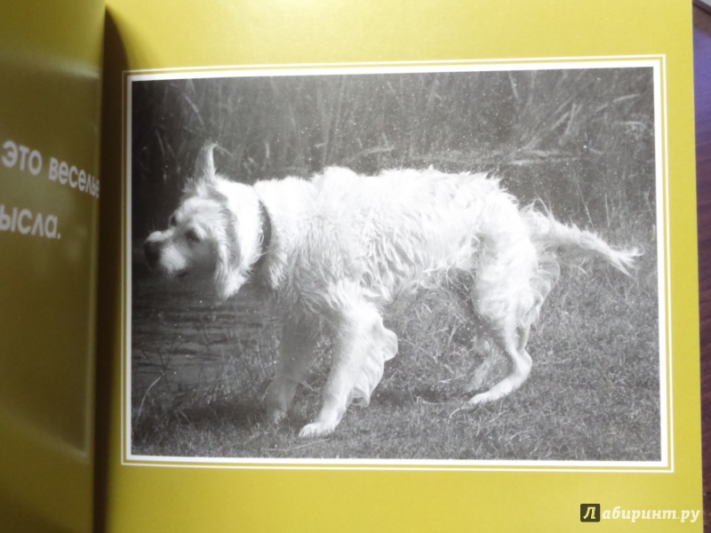 Иллюстрация 10 из 11 для Спросите у собаки: что думают собаки о людях и о себе | Лабиринт - книги. Источник: Тарабановская  Инна