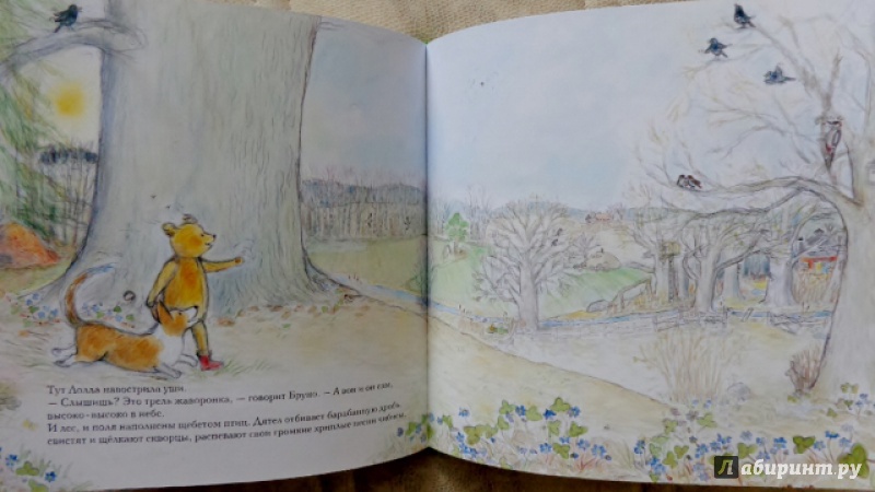 Иллюстрация 11 из 51 для Весна мишки Бруно - Гунилла Ингвес | Лабиринт - книги. Источник: Матти Суоми