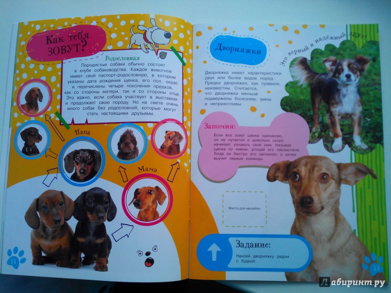 Иллюстрация 14 из 20 для Как воспитать щенка | Лабиринт - книги. Источник: Александра Джейлани