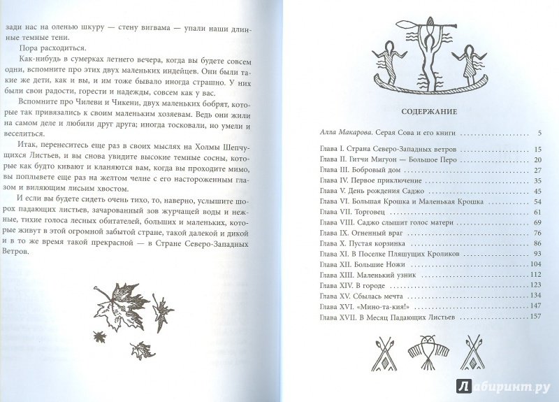 Иллюстрация 38 из 38 для Саджо и ее бобры - Сова Серая | Лабиринт - книги. Источник: Яровая Ирина