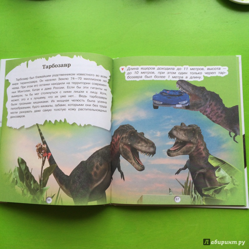 Иллюстрация 18 из 24 для Динозавры - Елена Хомич | Лабиринт - книги. Источник: Татаринец Наталья