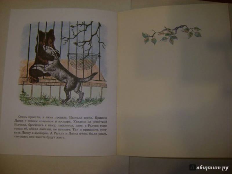 Иллюстрация 24 из 34 для Медвежонок Рычик и его товарищи - Вера Чаплина | Лабиринт - книги. Источник: Саша Юрина