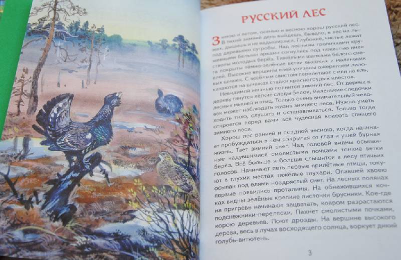 Иллюстрация 22 из 26 для Русский лес - Иван Соколов-Микитов | Лабиринт - книги. Источник: CatT