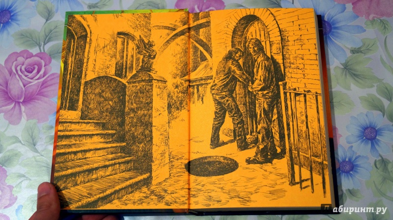 Иллюстрация 7 из 9 для Восход над Шалмари - Андрей Имранов | Лабиринт - книги. Источник: Falk-on