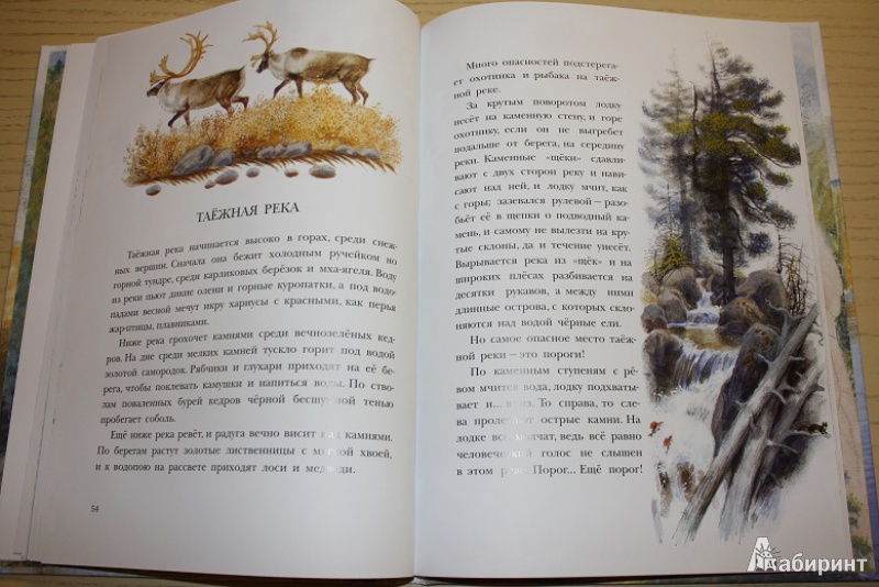 Иллюстрация 40 из 58 для Рассказы о природе, о птицах зверях и разных краях - Геннадий Снегирев | Лабиринт - книги. Источник: КНИЖНОЕ ДЕТСТВО