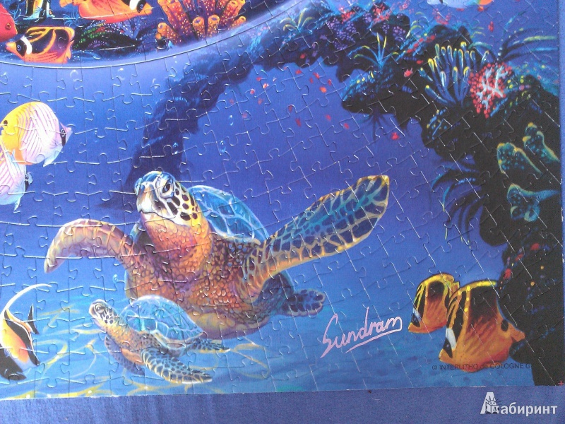 Иллюстрация 16 из 33 для Puzzle-1149 "Подводный мир" (Пазл в пазле) (83509) | Лабиринт - игрушки. Источник: ogrekoff