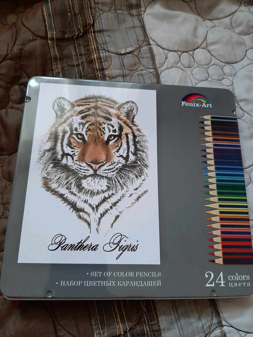 Иллюстрация 32 из 63 для Карандаши цветные "Тигр" (24 цвета, металлическая коробка) (32871) | Лабиринт - канцтовы. Источник: Masti
