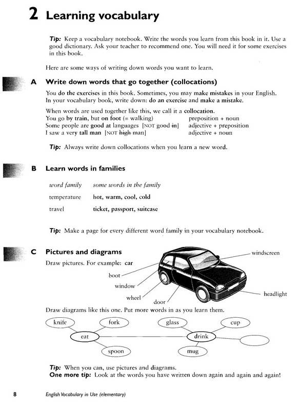 Иллюстрация 2 из 30 для English Vocabulary in Use: Elementary - McCarthy, O`Dell | Лабиринт - книги. Источник: Ялина