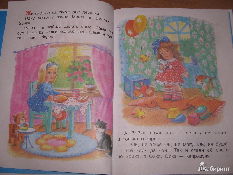 Иллюстрация 37 из 47 для Маша и Ойка - Софья Прокофьева | Лабиринт - книги. Источник: Рыженький