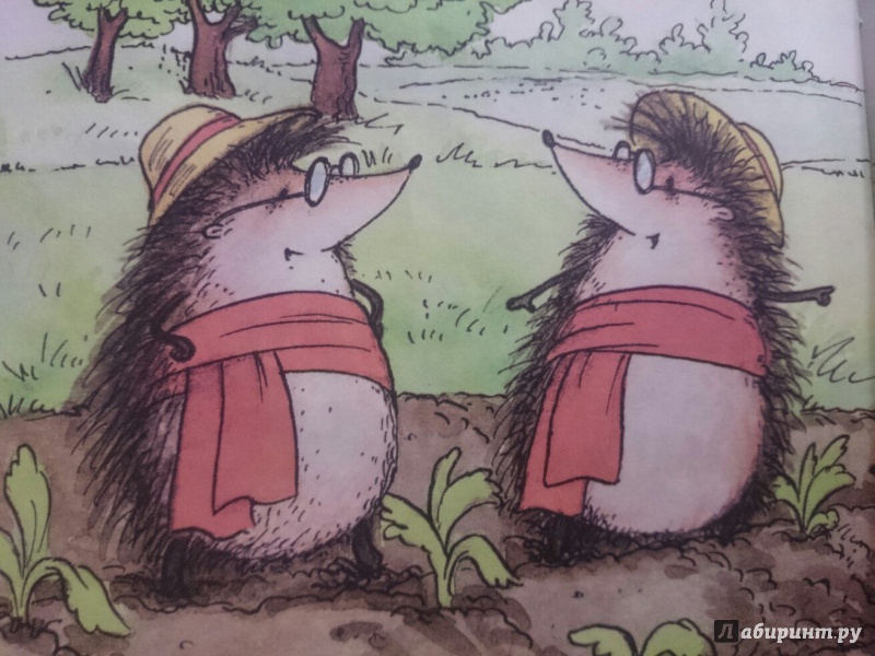 Иллюстрация 3 из 8 для Заяц и еж - Гримм Якоб и Вильгельм | Лабиринт - книги. Источник: RainbowMama
