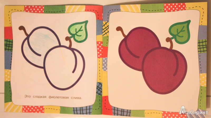 Иллюстрация 9 из 21 для Овощи и фрукты | Лабиринт - книги. Источник: Лабиринт