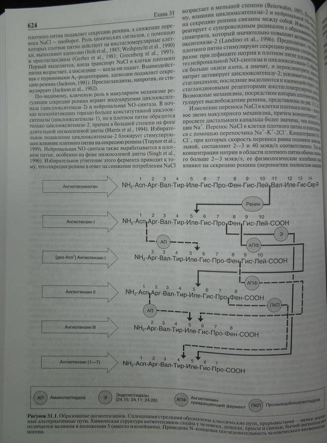 Иллюстрация 16 из 26 для Клиническая фармакология по Гудману и Гилману. Книга 2 - Акил, Андем, Балдессарини | Лабиринт - книги. Источник: Королева  Кристина
