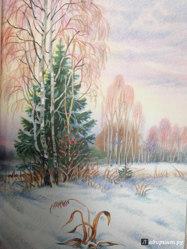 Изображения природы тютчева. Природа Тютчева зима. Пейзаж по стихотворению. Образ природы в искусстве. Иллюстрация к стихотворению.