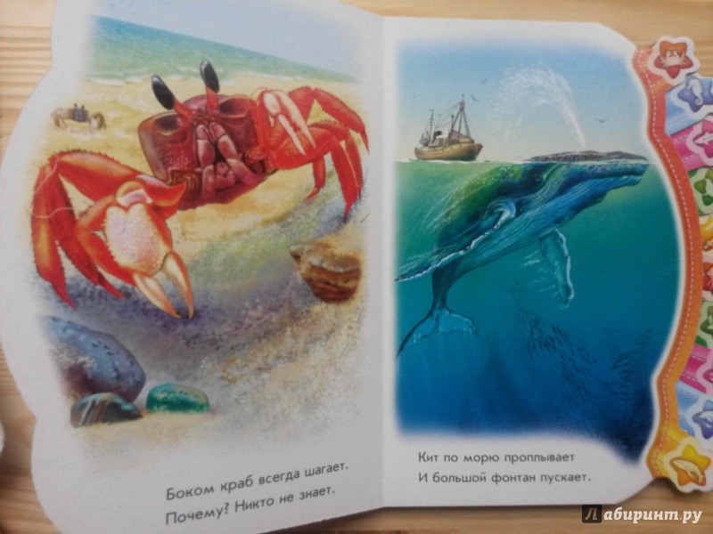 Иллюстрация 4 из 14 для В море - Олеся Квитка | Лабиринт - книги. Источник: Петрашова  Мария