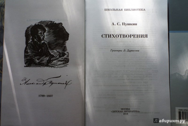 Иллюстрация 30 из 35 для Стихотворения - Александр Пушкин | Лабиринт - книги. Источник: Алонсо Кихано