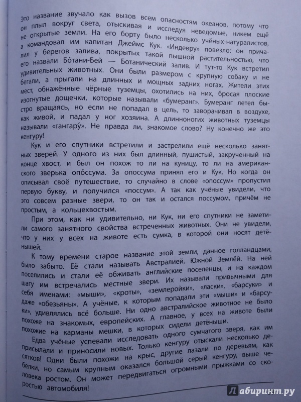 Иллюстрация 4 из 44 для Где живет единорог? - Виталий Танасийчук | Лабиринт - книги. Источник: Pampa