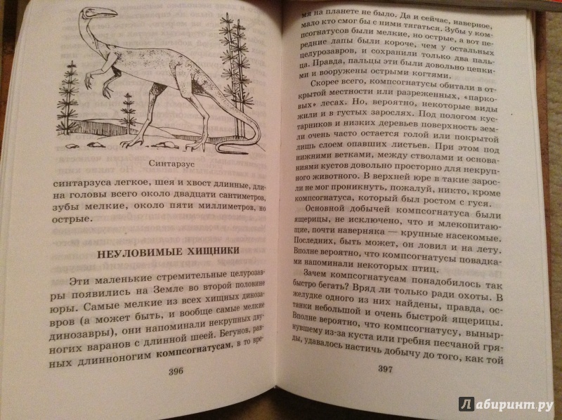Иллюстрация 2 из 14 для Все о динозаврах, современных животных и растениях - Целлариус, Ляхов, Багрова | Лабиринт - книги. Источник: bunabuna350