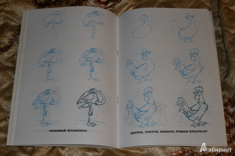 Иллюстрация 3 из 11 для Рисуем 50 мультяшных зверят - Эймис, Сингер | Лабиринт - книги. Источник: Кабанова  Ксения Викторовна