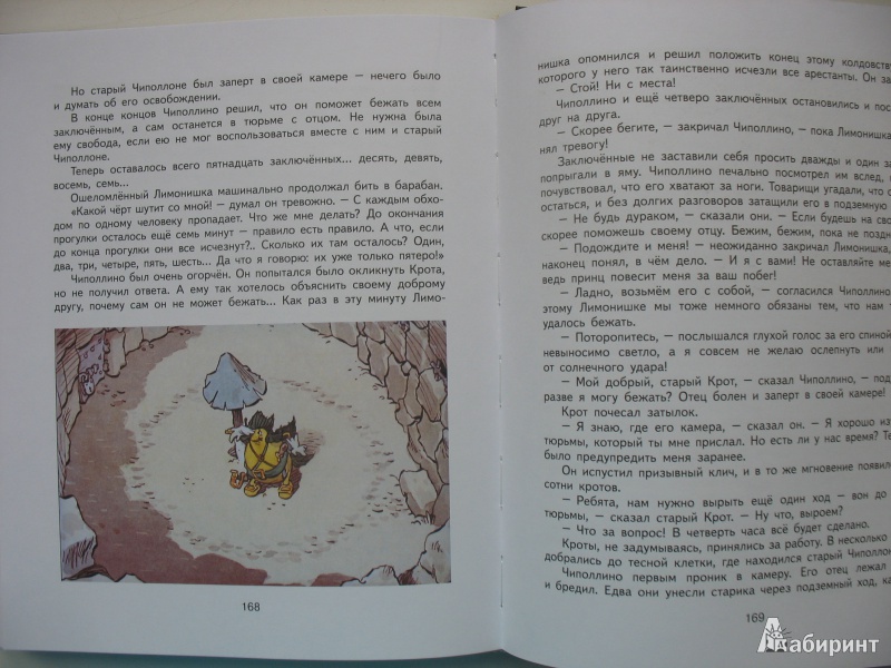 Иллюстрация 29 из 73 для Приключения Чиполлино - Джанни Родари | Лабиринт - книги. Источник: Tatyana_G