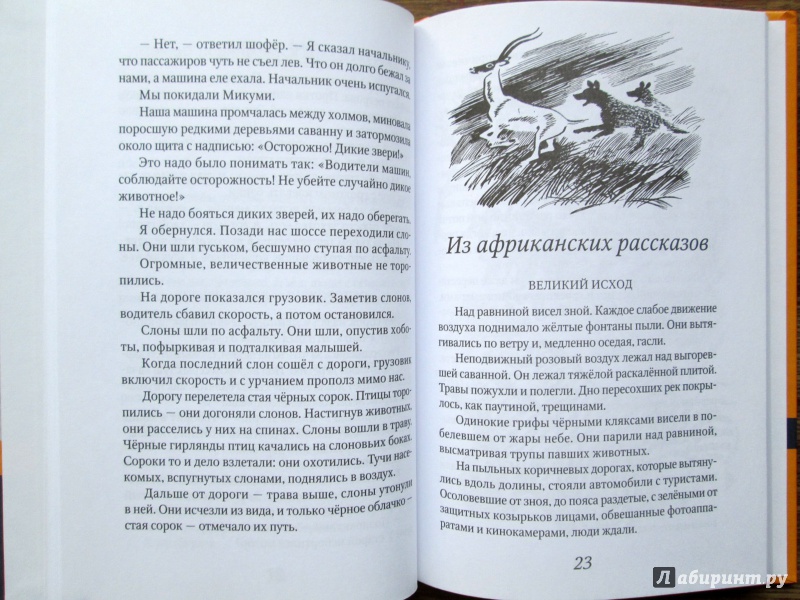 Иллюстрация 5 из 28 для Акула на песке - Святослав Сахарнов | Лабиринт - книги. Источник: Зеленая шляпа