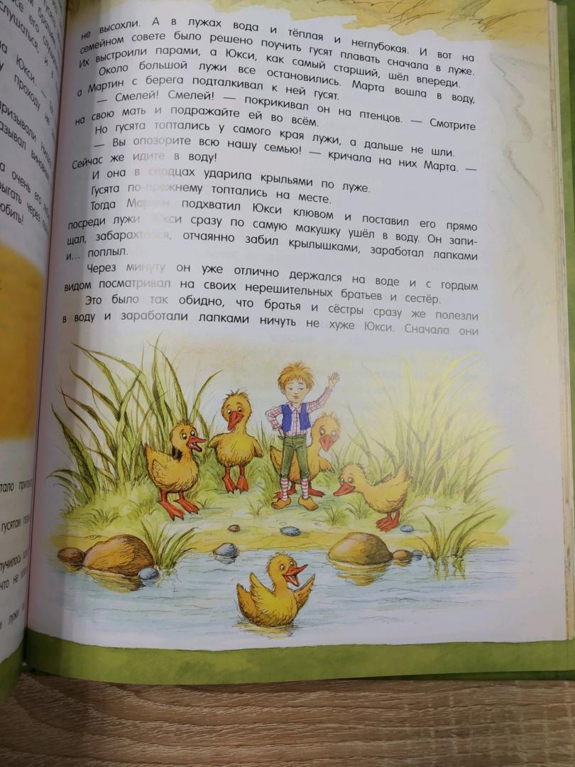 Иллюстрация 37 из 41 для Чудесное путешествие Нильса с дикими гусями - Сельма Лагерлеф | Лабиринт - книги. Источник: Елизавета