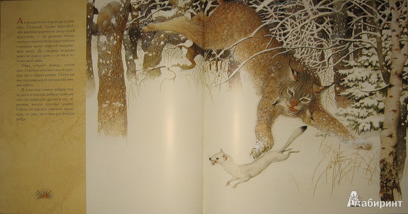 Иллюстрация 38 из 70 для Жизнь в тайге - Бренда Гиберсон | Лабиринт - книги. Источник: Трухина Ирина