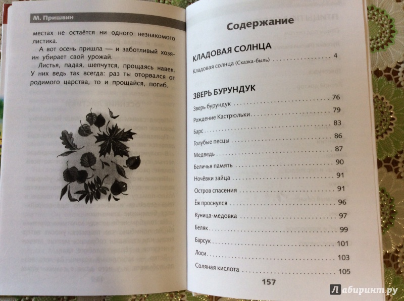 Иллюстрация 12 из 25 для Кладовая солнца - Михаил Пришвин | Лабиринт - книги. Источник: Мишина  Наталья