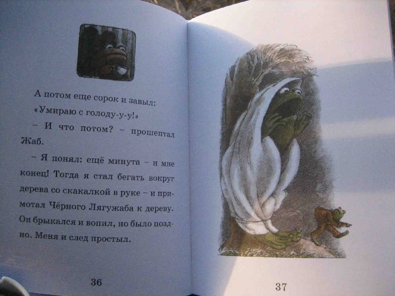 Иллюстрация 35 из 35 для Воздушный змей - Арнольд Лобел | Лабиринт - книги. Источник: Трухина Ирина