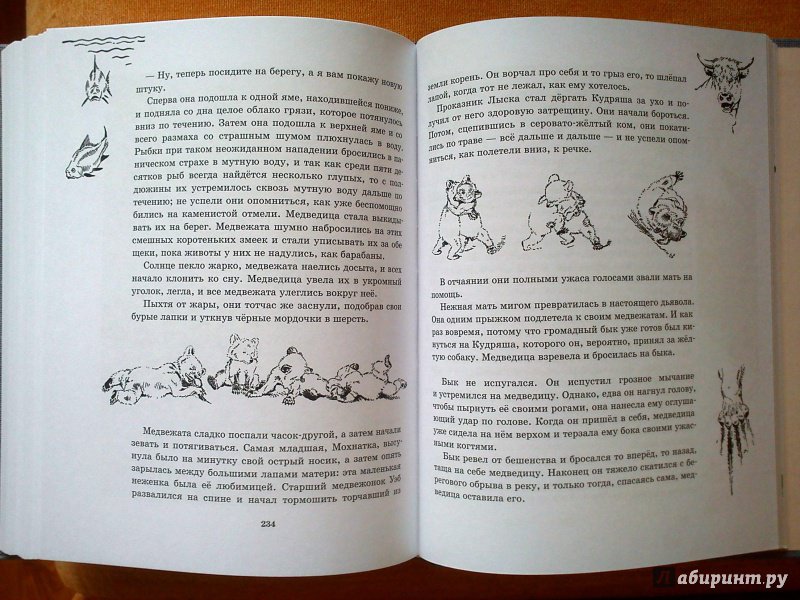Иллюстрация 25 из 66 для Рассказы о животных. Часть 1 - Эрнест Сетон-Томпсон | Лабиринт - книги. Источник: mak