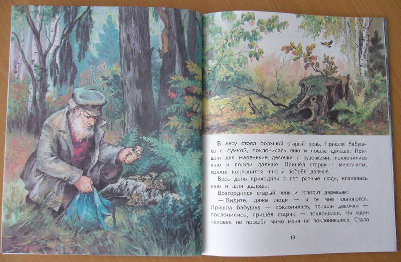 Иллюстрация 22 из 32 для Цветик-семицветик: Сказки - Валентин Катаев | Лабиринт - книги. Источник: Челла