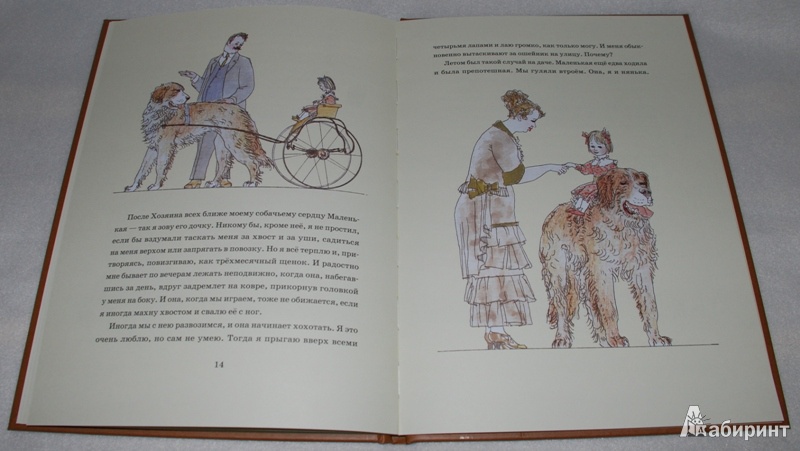 Иллюстрация 23 из 30 для Сапсан - Александр Куприн | Лабиринт - книги. Источник: Книжный кот