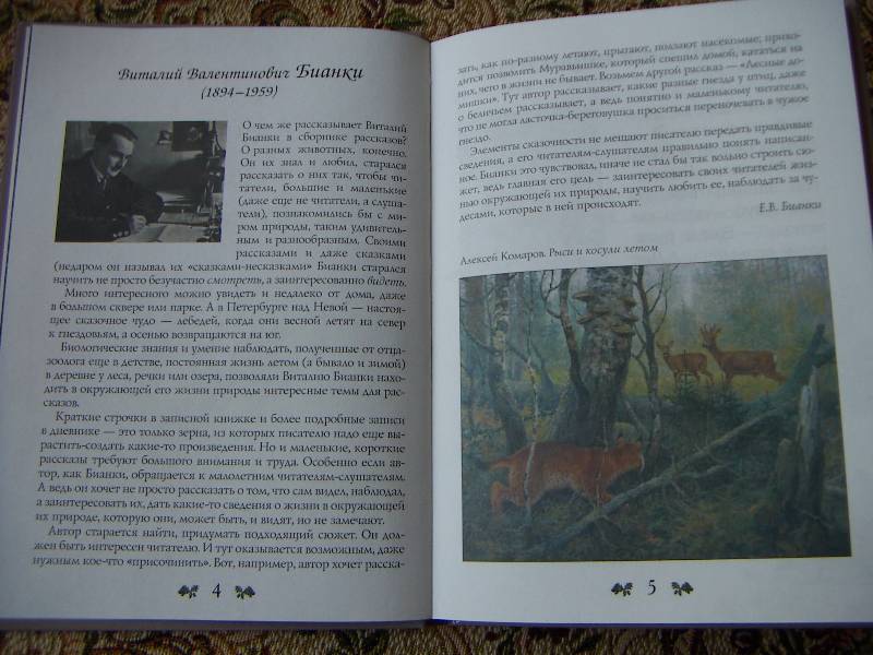 Иллюстрация 36 из 40 для Сказки и рассказы о животных - Виталий Бианки | Лабиринт - книги. Источник: Алонсо Кихано
