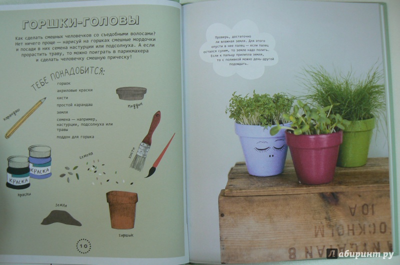 Иллюстрация 9 из 28 для Огород на подоконнике - Линдстрем, Нюберг | Лабиринт - книги. Источник: Марина