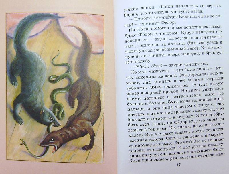 Иллюстрация 28 из 29 для Беспризорная кошка - Борис Житков | Лабиринт - книги. Источник: BOOKвочка