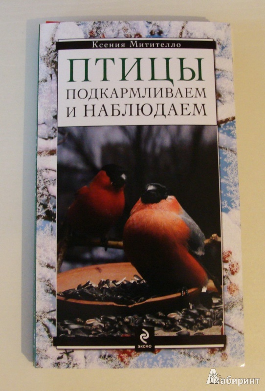 Иллюстрация 4 из 11 для Птицы. Подкармливаем и наблюдаем - Ксения Митителло | Лабиринт - книги. Источник: Мелихова  Алёна Александровна