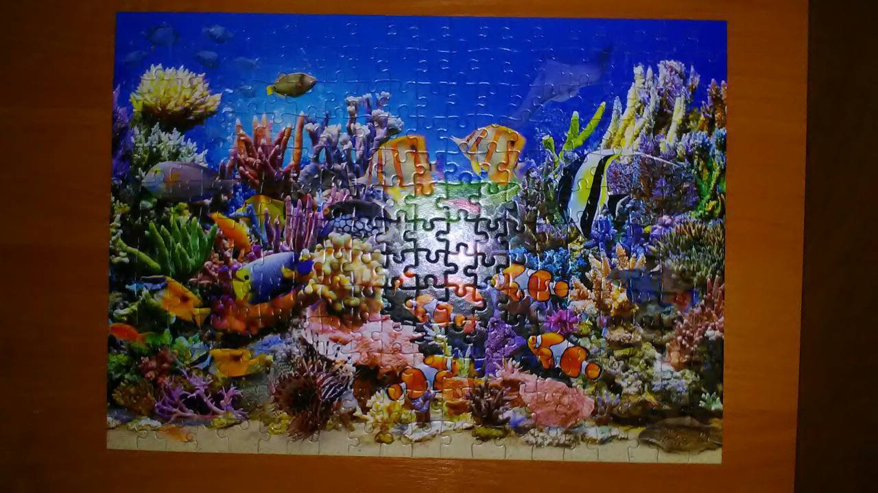 Иллюстрация 15 из 18 для Puzzle-260 MIDI "Цвета океана" (B-27279) | Лабиринт - игрушки. Источник: Selenita