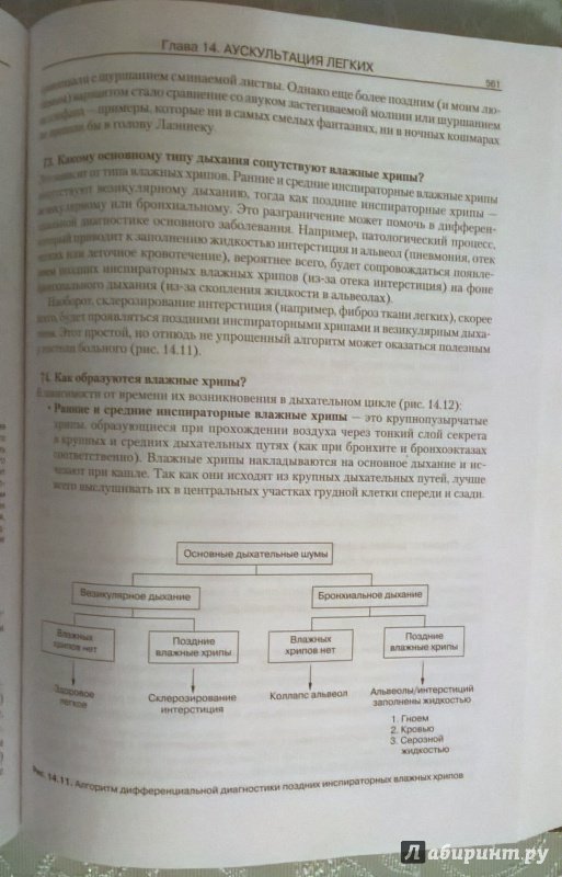 Иллюстрация 18 из 34 для Секреты клинической диагностики - Сальваторе Манджони | Лабиринт - книги. Источник: Angreniel