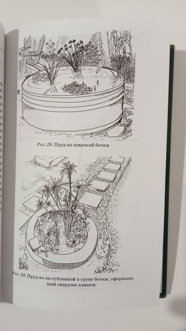 Иллюстрация 28 из 33 для Пруды, фонтаны, бассейны. Все виды искусственных водоемов на вашем участке - В. Котельников | Лабиринт - книги. Источник: Филипп