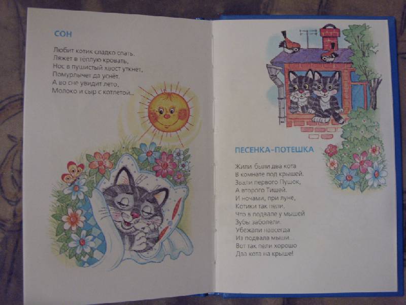 Иллюстрация 12 из 14 для Веселые котята: Стихи для детей | Лабиринт - книги. Источник: Золотая рыбка