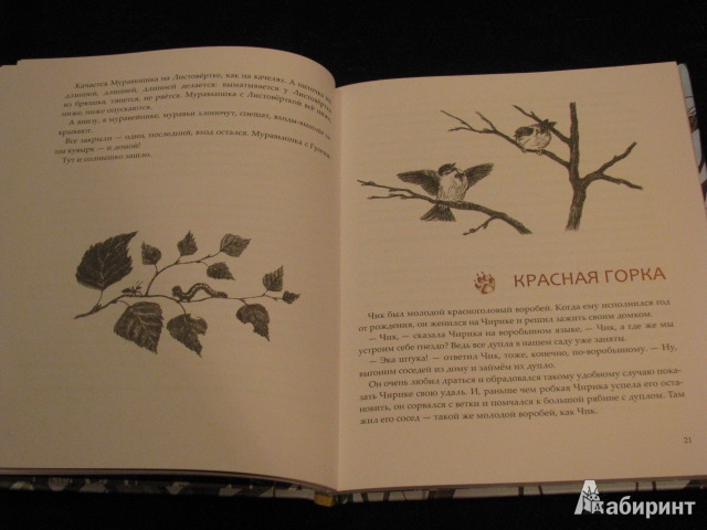 Иллюстрация 40 из 49 для Лесные разведчики - Виталий Бианки | Лабиринт - книги. Источник: Nemertona